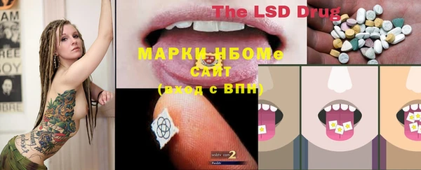твердый Бородино