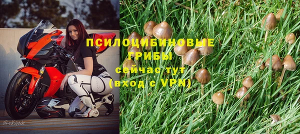 твердый Белокуриха