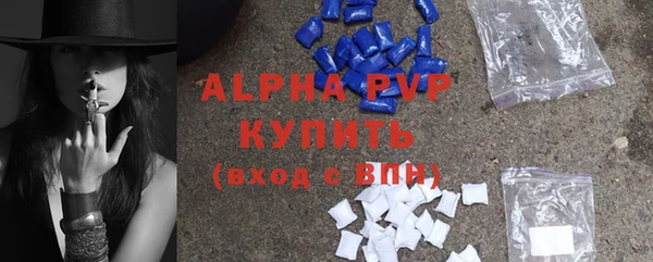 твердый Бородино